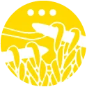 Allerlei
